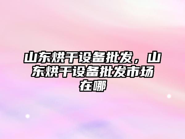 山東烘干設備批發，山東烘干設備批發市場在哪