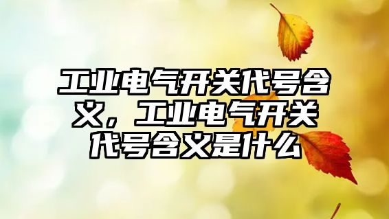 工業電氣開關代號含義，工業電氣開關代號含義是什么