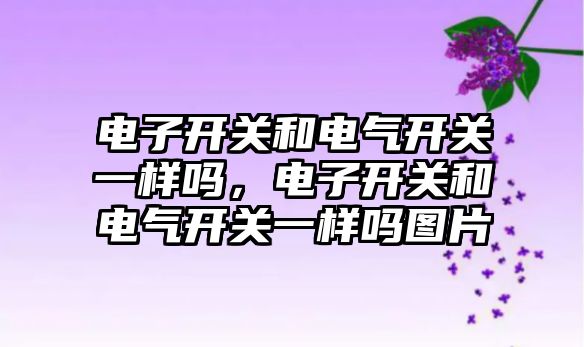 電子開關和電氣開關一樣嗎，電子開關和電氣開關一樣嗎圖片