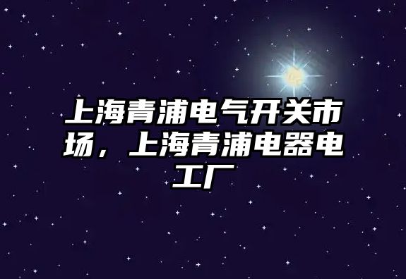 上海青浦電氣開關市場，上海青浦電器電工廠