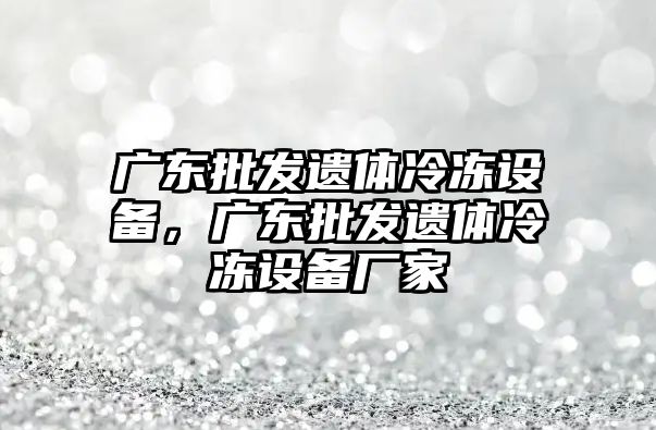 廣東批發遺體冷凍設備，廣東批發遺體冷凍設備廠家