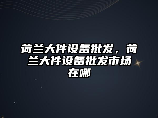 荷蘭大件設備批發，荷蘭大件設備批發市場在哪