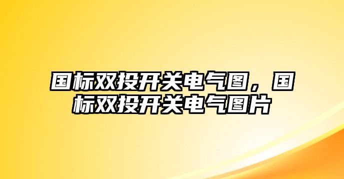 國標雙投開關電氣圖，國標雙投開關電氣圖片