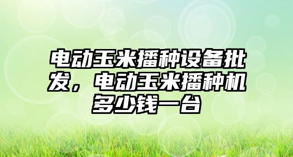 電動玉米播種設備批發，電動玉米播種機多少錢一臺