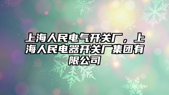 上海人民電氣開關廠，上海人民電器開關廠集團有限公司