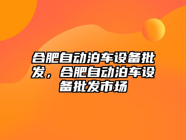 合肥自動泊車設備批發，合肥自動泊車設備批發市場