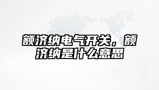 額濟納電氣開關，額濟納是什么意思