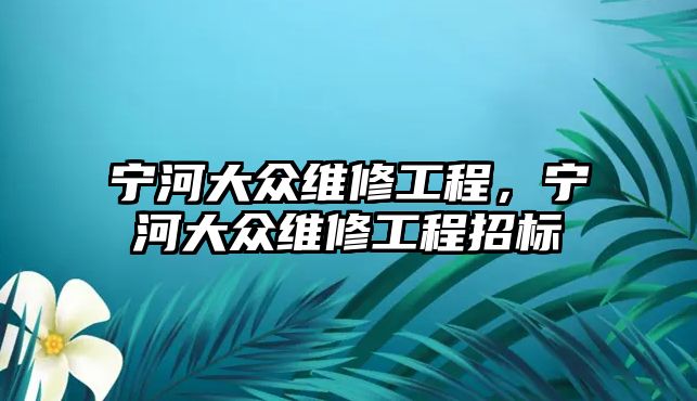 寧河大眾維修工程，寧河大眾維修工程招標