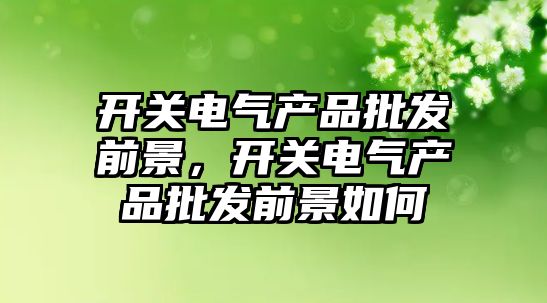 開關電氣產品批發前景，開關電氣產品批發前景如何