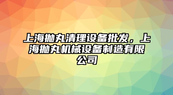 上海拋丸清理設備批發，上海拋丸機械設備制造有限公司