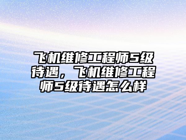 飛機維修工程師5級待遇，飛機維修工程師5級待遇怎么樣