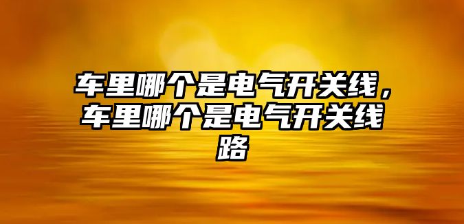 車里哪個是電氣開關線，車里哪個是電氣開關線路