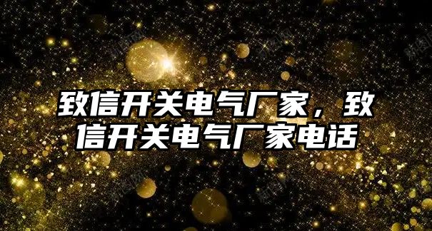 致信開關電氣廠家，致信開關電氣廠家電話