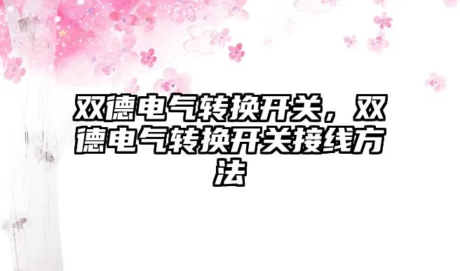 雙德電氣轉換開關，雙德電氣轉換開關接線方法