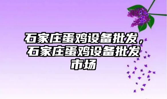 石家莊蛋雞設備批發，石家莊蛋雞設備批發市場