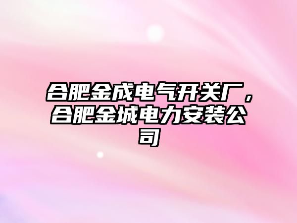 合肥金成電氣開關廠，合肥金城電力安裝公司