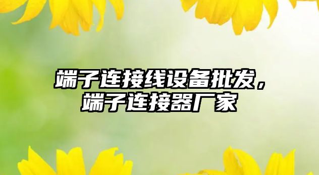 端子連接線設備批發，端子連接器廠家