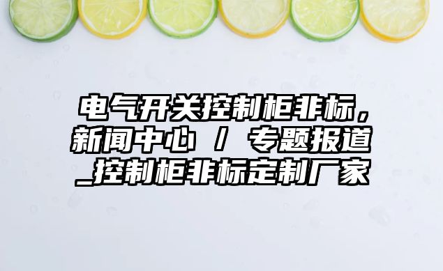 電氣開關控制柜非標，新聞中心 / 專題報道_控制柜非標定制廠家