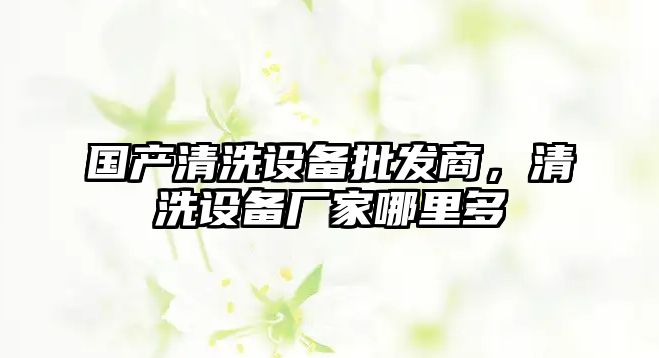 國產清洗設備批發商，清洗設備廠家哪里多