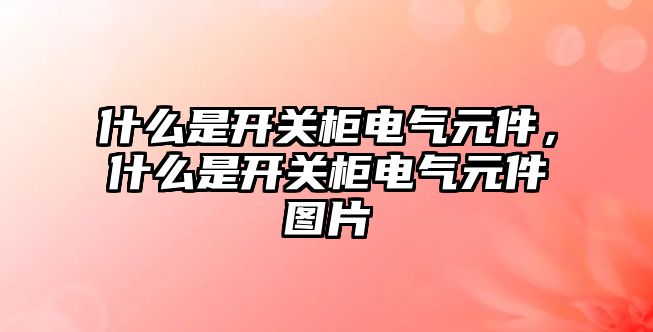 什么是開關柜電氣元件，什么是開關柜電氣元件圖片