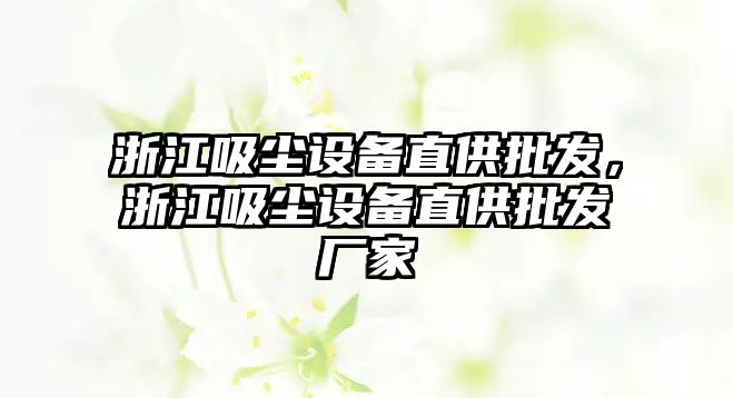 浙江吸塵設備直供批發，浙江吸塵設備直供批發廠家