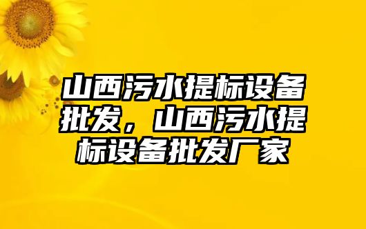 山西污水提標設備批發，山西污水提標設備批發廠家