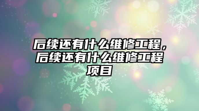 后續還有什么維修工程，后續還有什么維修工程項目