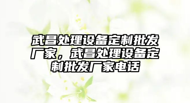 武昌處理設備定制批發廠家，武昌處理設備定制批發廠家電話