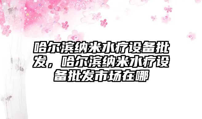 哈爾濱納米水療設備批發，哈爾濱納米水療設備批發市場在哪