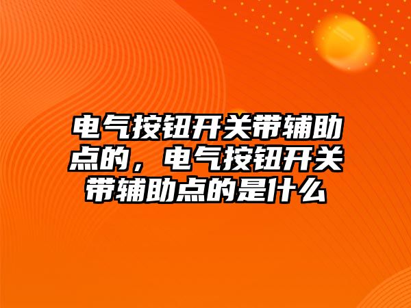 電氣按鈕開關帶輔助點的，電氣按鈕開關帶輔助點的是什么