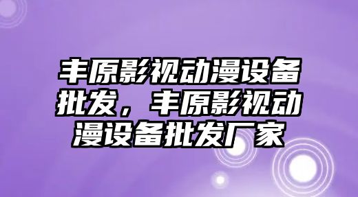 豐原影視動漫設備批發，豐原影視動漫設備批發廠家