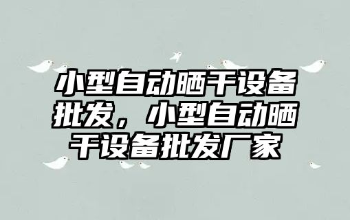 小型自動曬干設備批發，小型自動曬干設備批發廠家