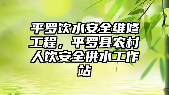 平羅飲水安全維修工程，平羅縣農村人飲安全供水工作站