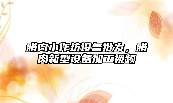 臘肉小作坊設備批發，臘肉新型設備加工視頻