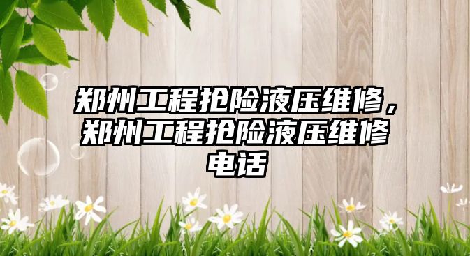 鄭州工程搶險液壓維修，鄭州工程搶險液壓維修電話