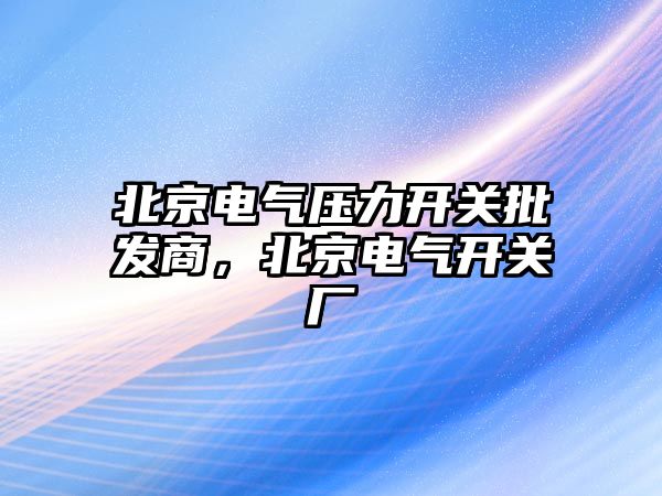 北京電氣壓力開關批發商，北京電氣開關廠