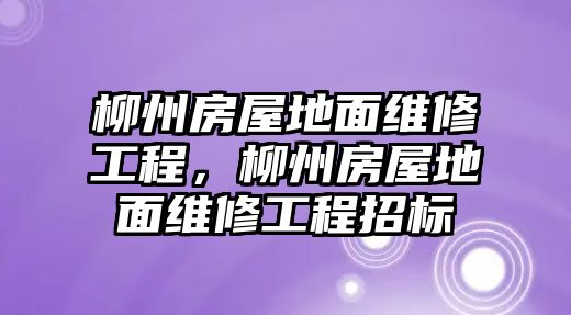 柳州房屋地面維修工程，柳州房屋地面維修工程招標