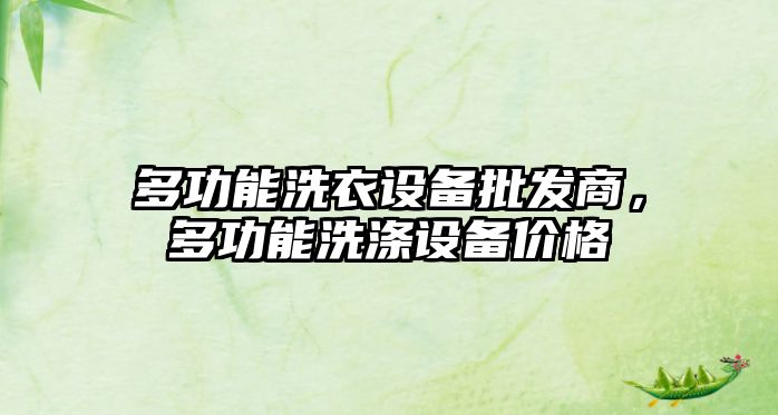 多功能洗衣設備批發商，多功能洗滌設備價格