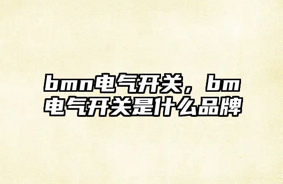 bmn電氣開關，bm電氣開關是什么品牌