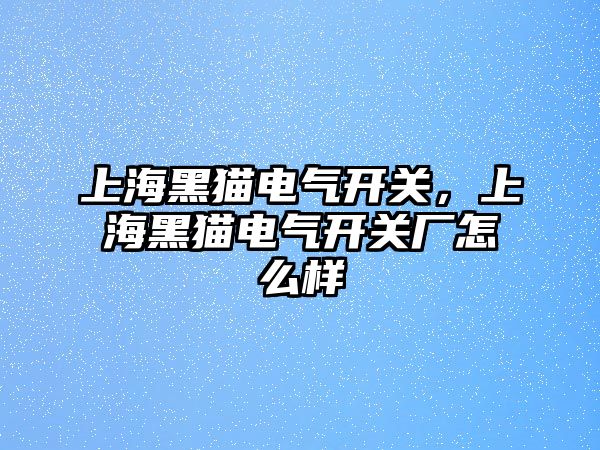 上海黑貓電氣開關，上海黑貓電氣開關廠怎么樣