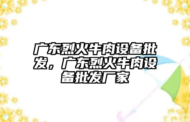 廣東烈火牛肉設備批發，廣東烈火牛肉設備批發廠家