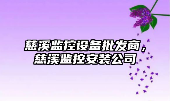 慈溪監控設備批發商，慈溪監控安裝公司