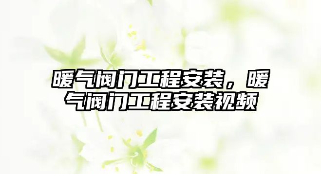 暖氣閥門工程安裝，暖氣閥門工程安裝視頻