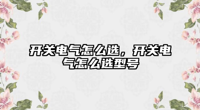 開關電氣怎么選，開關電氣怎么選型號