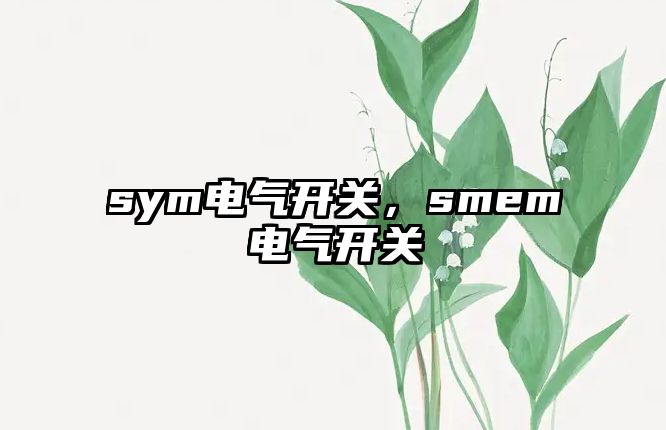 sym電氣開關，smem電氣開關