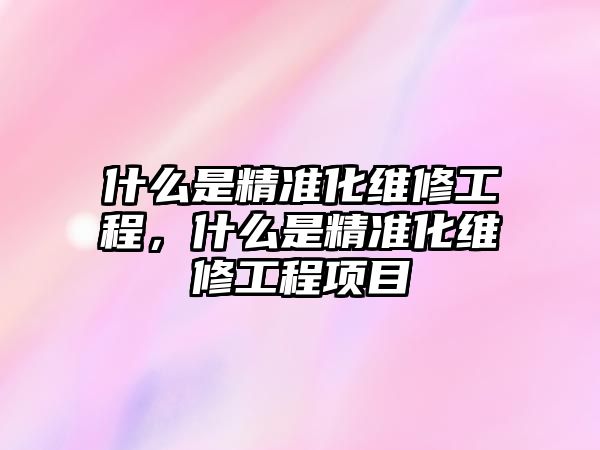 什么是精準化維修工程，什么是精準化維修工程項目