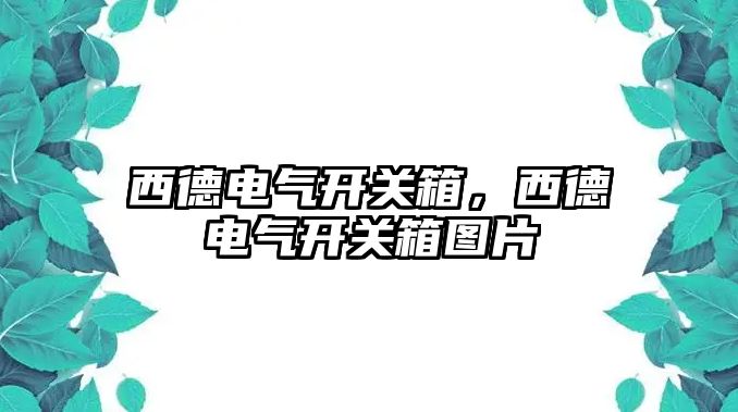 西德電氣開關箱，西德電氣開關箱圖片