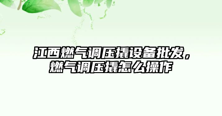 江西燃氣調壓撬設備批發，燃氣調壓撬怎么操作