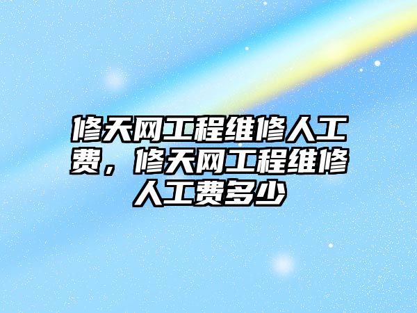 修天網工程維修人工費，修天網工程維修人工費多少