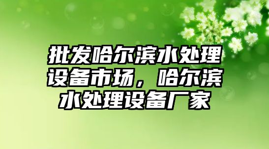 批發哈爾濱水處理設備市場，哈爾濱水處理設備廠家